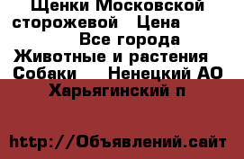 Щенки Московской сторожевой › Цена ­ 35 000 - Все города Животные и растения » Собаки   . Ненецкий АО,Харьягинский п.